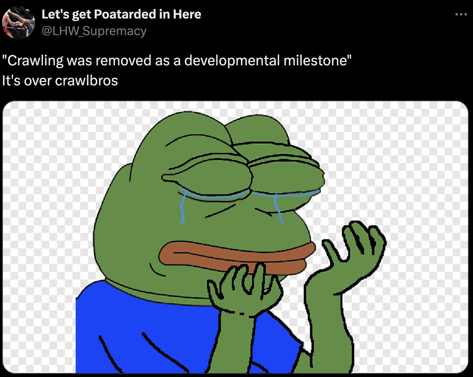 meme templates pepe - Let's get Poatarded in Here "Crawling was removed as a developmental milestone" It's over crawlbros